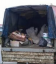 Предлагаю Вывоз строительного мусора работаем по всему Сочи